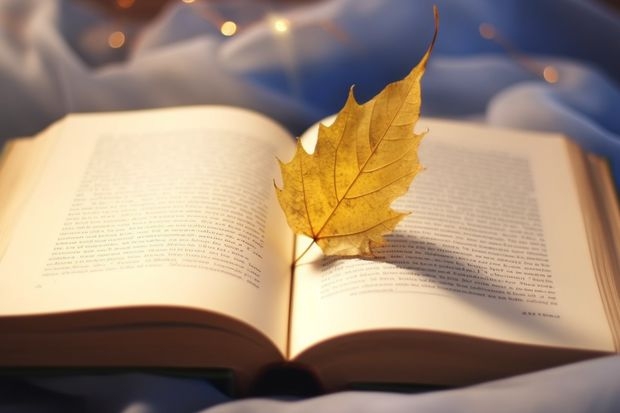 学艺术可以中考加分吗广东 请问艺术生在中考的时候加分么？