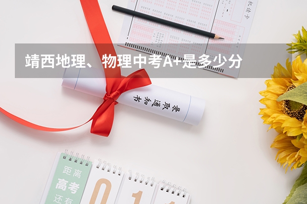 靖西地理、物理中考A+是多少分