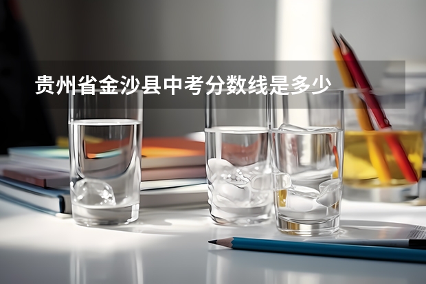 贵州省金沙县中考分数线是多少