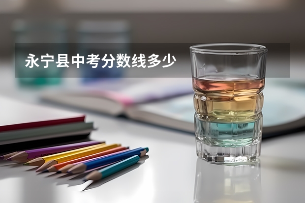永宁县中考分数线多少