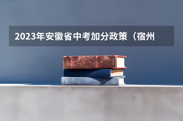 2023年安徽省中考加分政策（宿州中考分数总分）