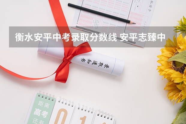 衡水安平中考录取分数线 安平志臻中考成绩