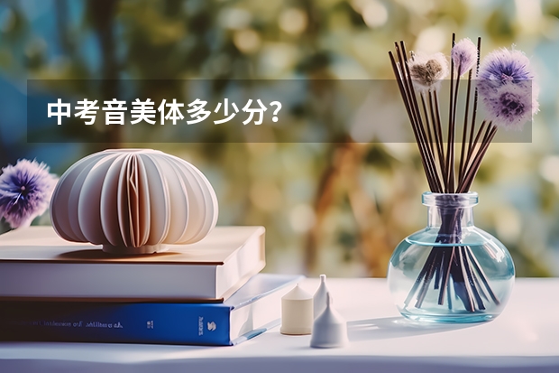 中考音美体多少分？