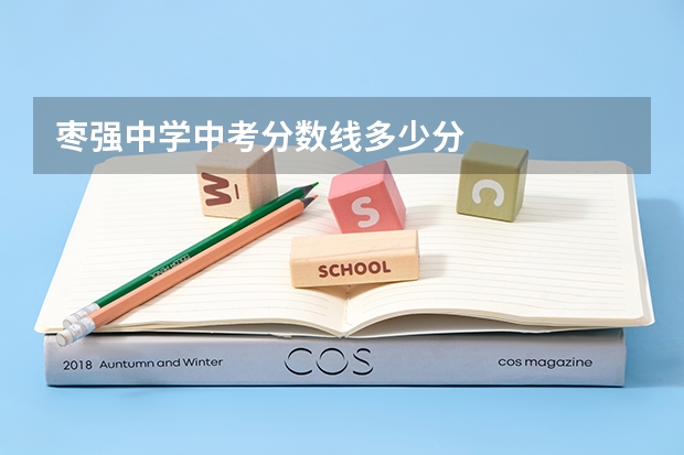 枣强中学中考分数线多少分