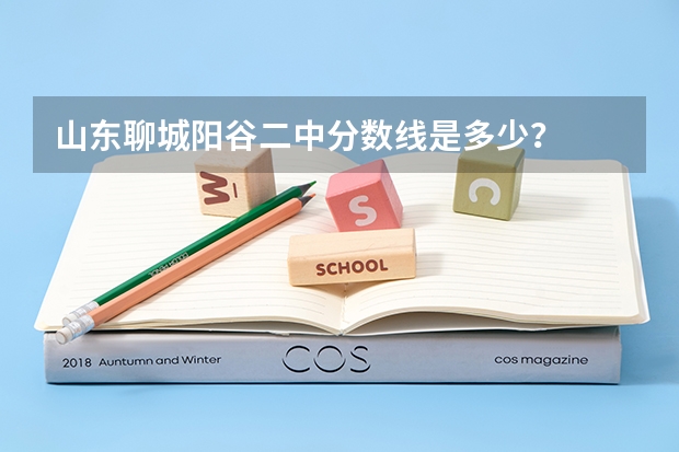 山东聊城阳谷二中分数线是多少？