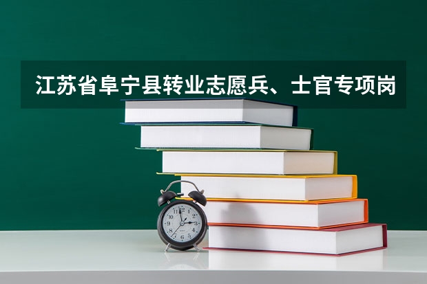 江苏省阜宁县转业志愿兵、士官专项岗工资待遇怎么样?
