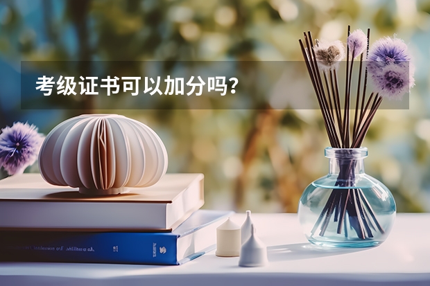 考级证书可以加分吗？