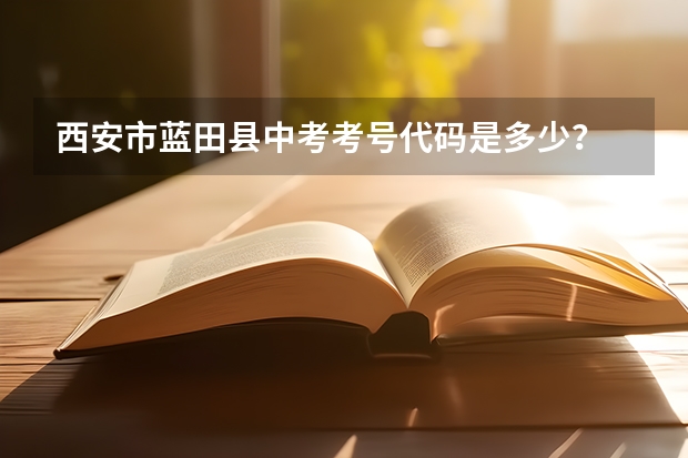 西安市蓝田县中考考号代码是多少？