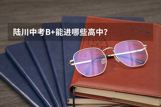 陆川中考B+能进哪些高中？