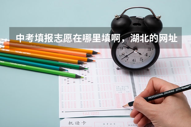 中考填报志愿在哪里填啊,湖北的网址