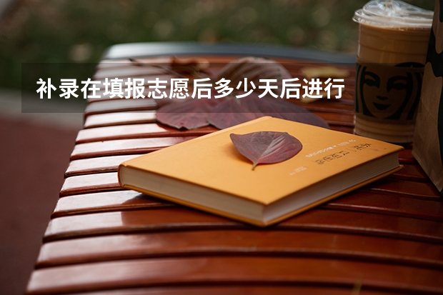 补录在填报志愿后多少天后进行
