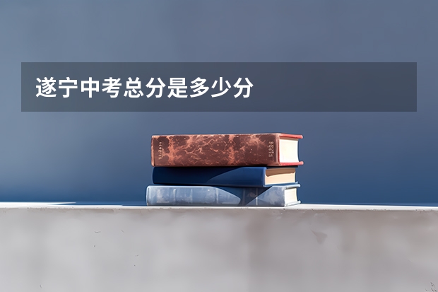 遂宁中考总分是多少分