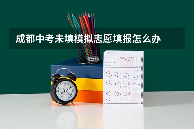 成都中考未填模拟志愿填报怎么办