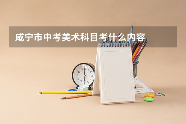 咸宁市中考美术科目考什么内容