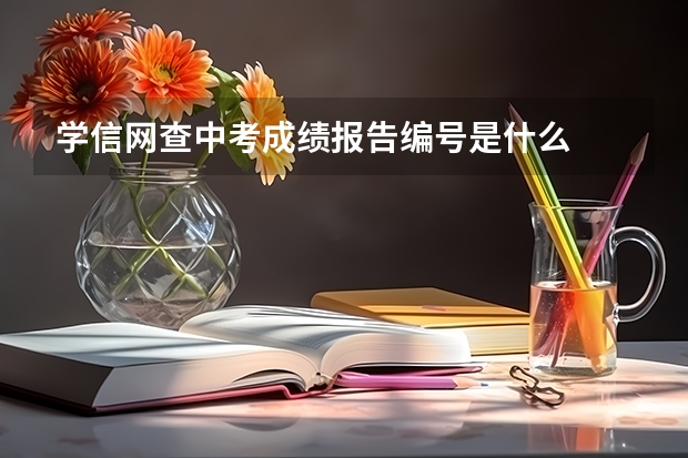 学信网查中考成绩报告编号是什么