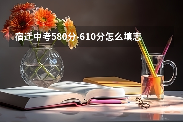 宿迁中考580分-610分怎么填志愿