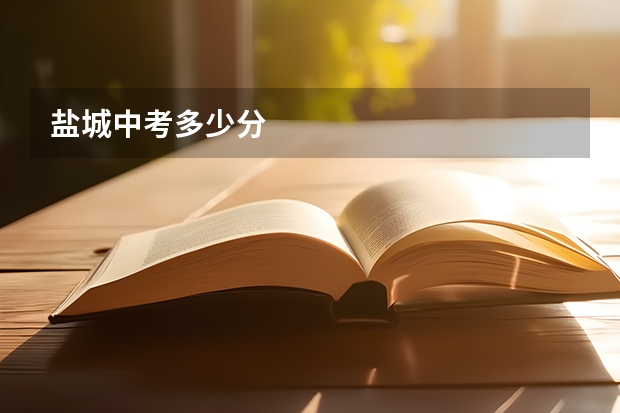 盐城中考多少分