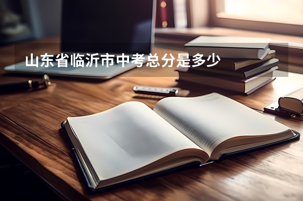 山东省临沂市中考总分是多少