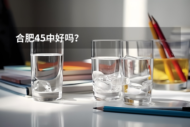 合肥45中好吗？