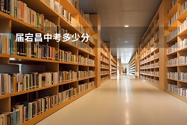 届宕昌中考多少分
