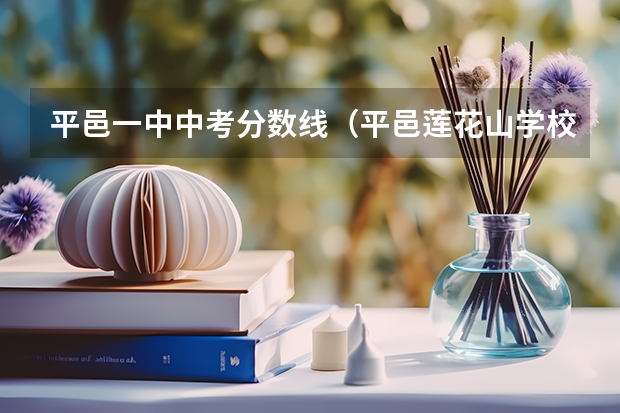平邑一中中考分数线（平邑莲花山学校学费）