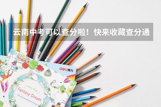 云南中考可以查分啦！快来收藏查分通道！（内附各地成绩查询公告） 红河州中考志愿报名流程