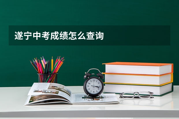 遂宁中考成绩怎么查询