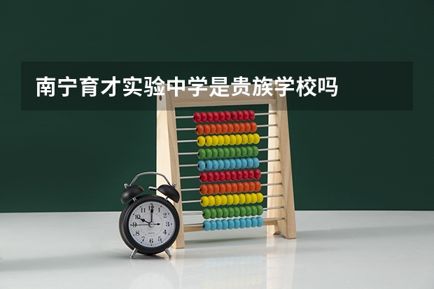 南宁育才实验中学是贵族学校吗