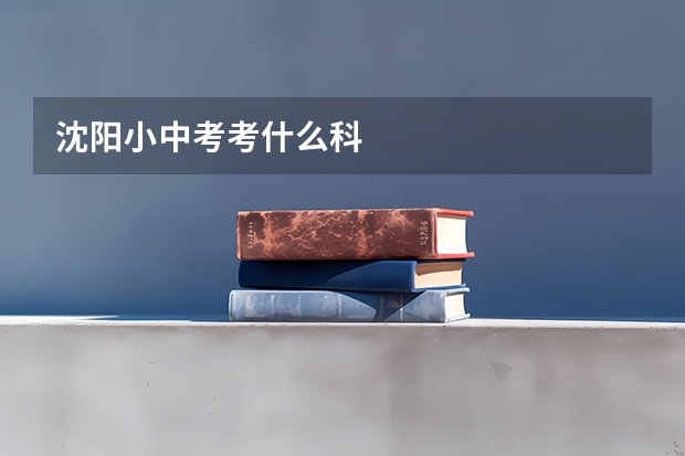 沈阳小中考考什么科