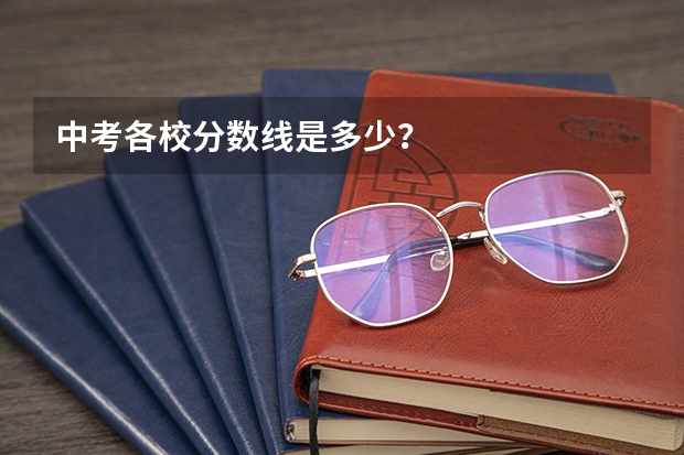 中考各校分数线是多少？