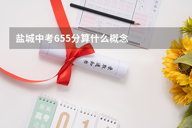 盐城中考655分算什么概念