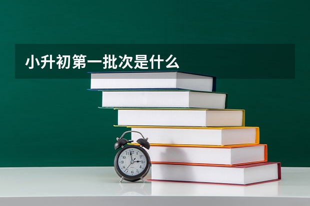 小升初第一批次是什么