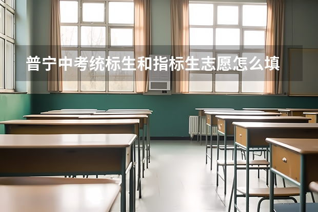 普宁中考统标生和指标生志愿怎么填