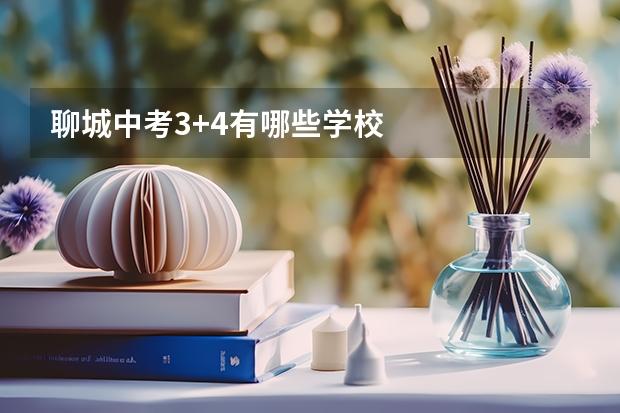 聊城中考3+4有哪些学校