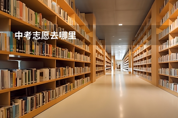 中考志愿去哪里