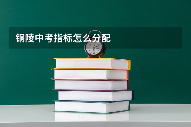 铜陵中考指标怎么分配