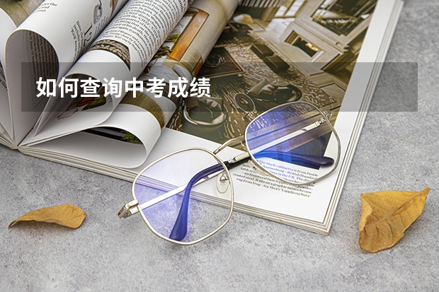 如何查询中考成绩