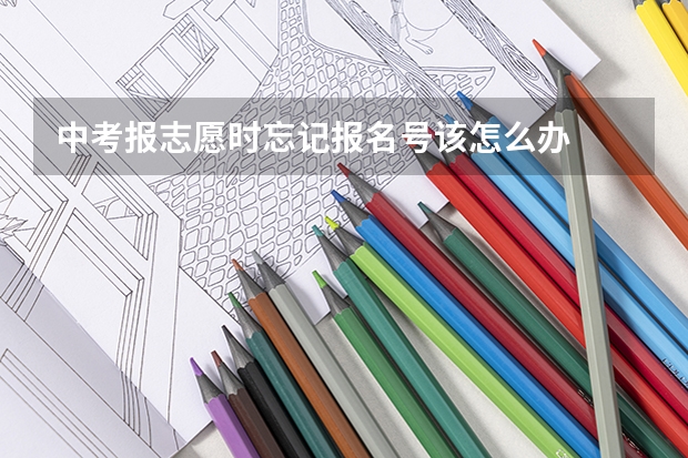 中考报志愿时忘记报名号该怎么办