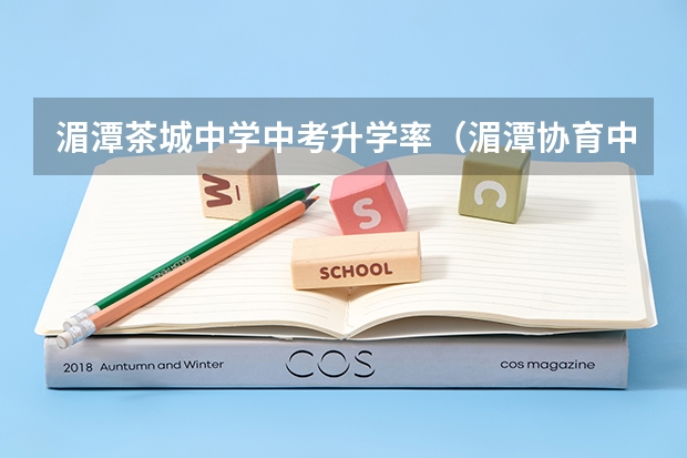 湄潭茶城中学中考升学率（湄潭协育中学中考成绩9(8)班张洪的成绩）