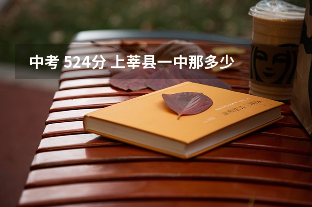 中考 524分 上莘县一中那多少钱