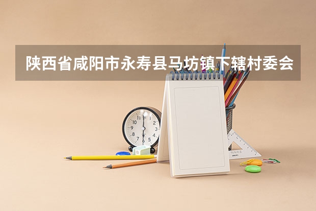 陕西省咸阳市永寿县马坊镇下辖村委会有哪些？