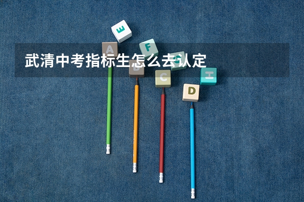 武清中考指标生怎么去认定