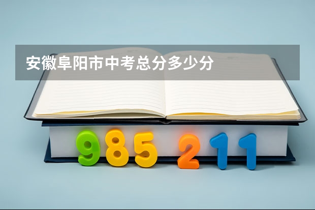 安徽阜阳市中考总分多少分