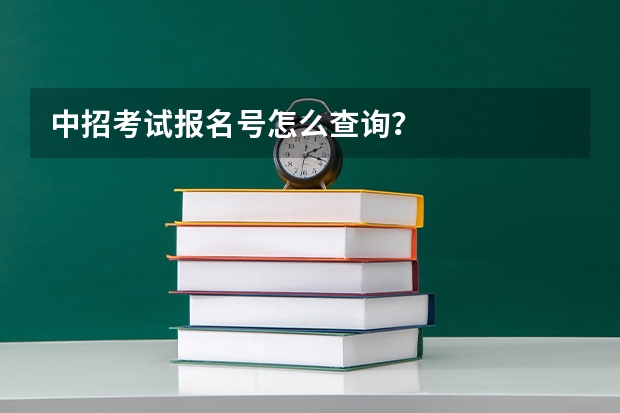 中招考试报名号怎么查询？