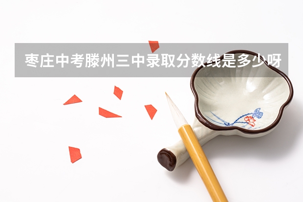 枣庄中考滕州三中录取分数线是多少呀?我考了407能考上么?可不可以回答详细点?