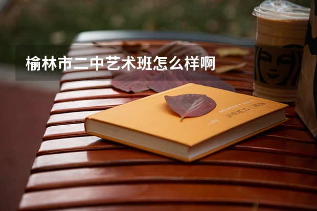 榆林市二中艺术班怎么样啊
