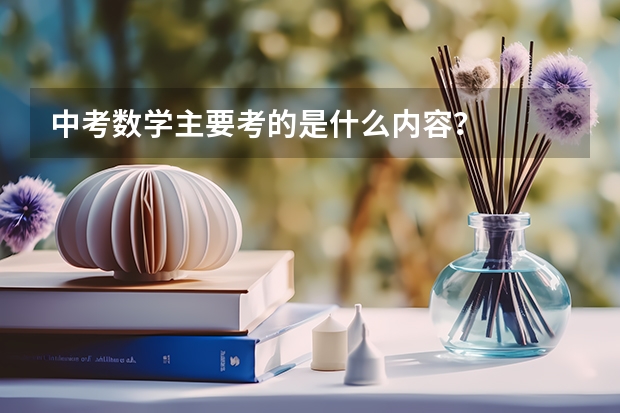 中考数学主要考的是什么内容？