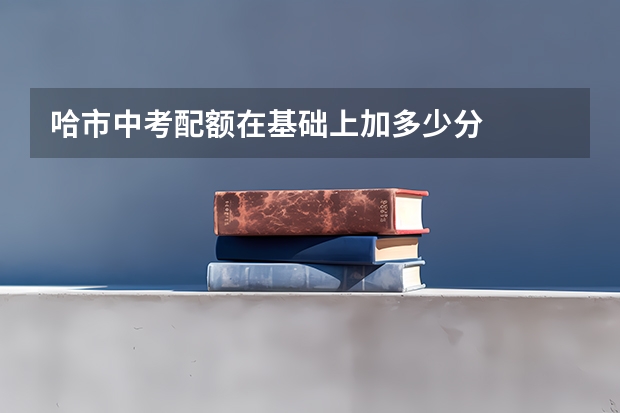 哈市中考配额在基础上加多少分
