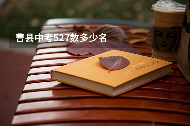 曹县中考527数多少名