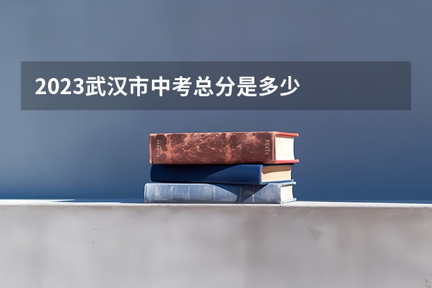 2023武汉市中考总分是多少
